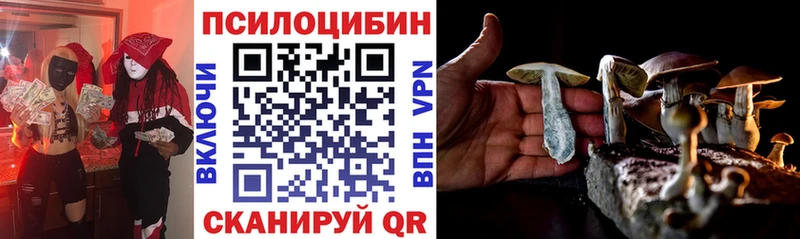 Псилоцибиновые грибы прущие грибы  Йошкар-Ола 